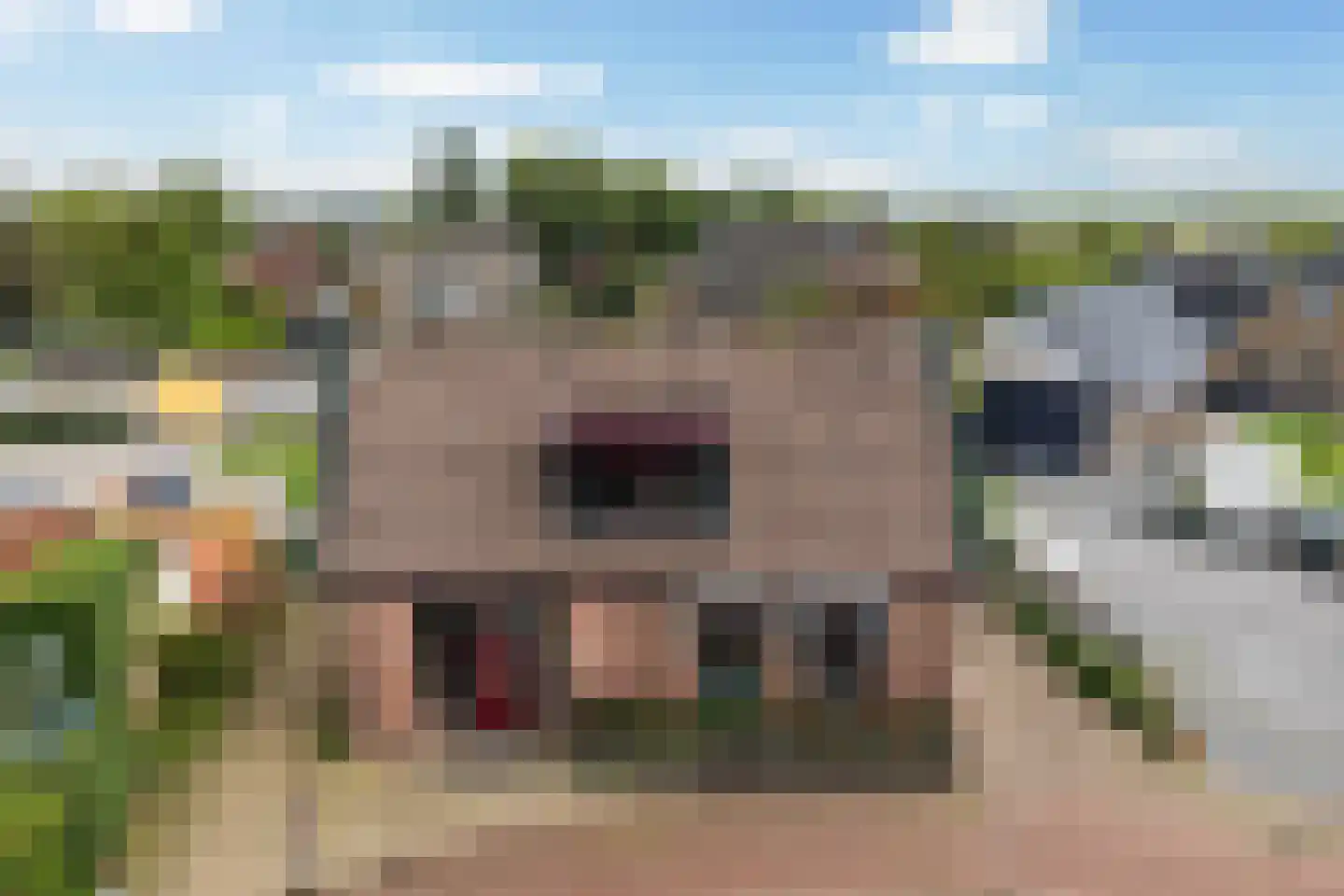 Het Oosten 13 Marrum thumbnail 38