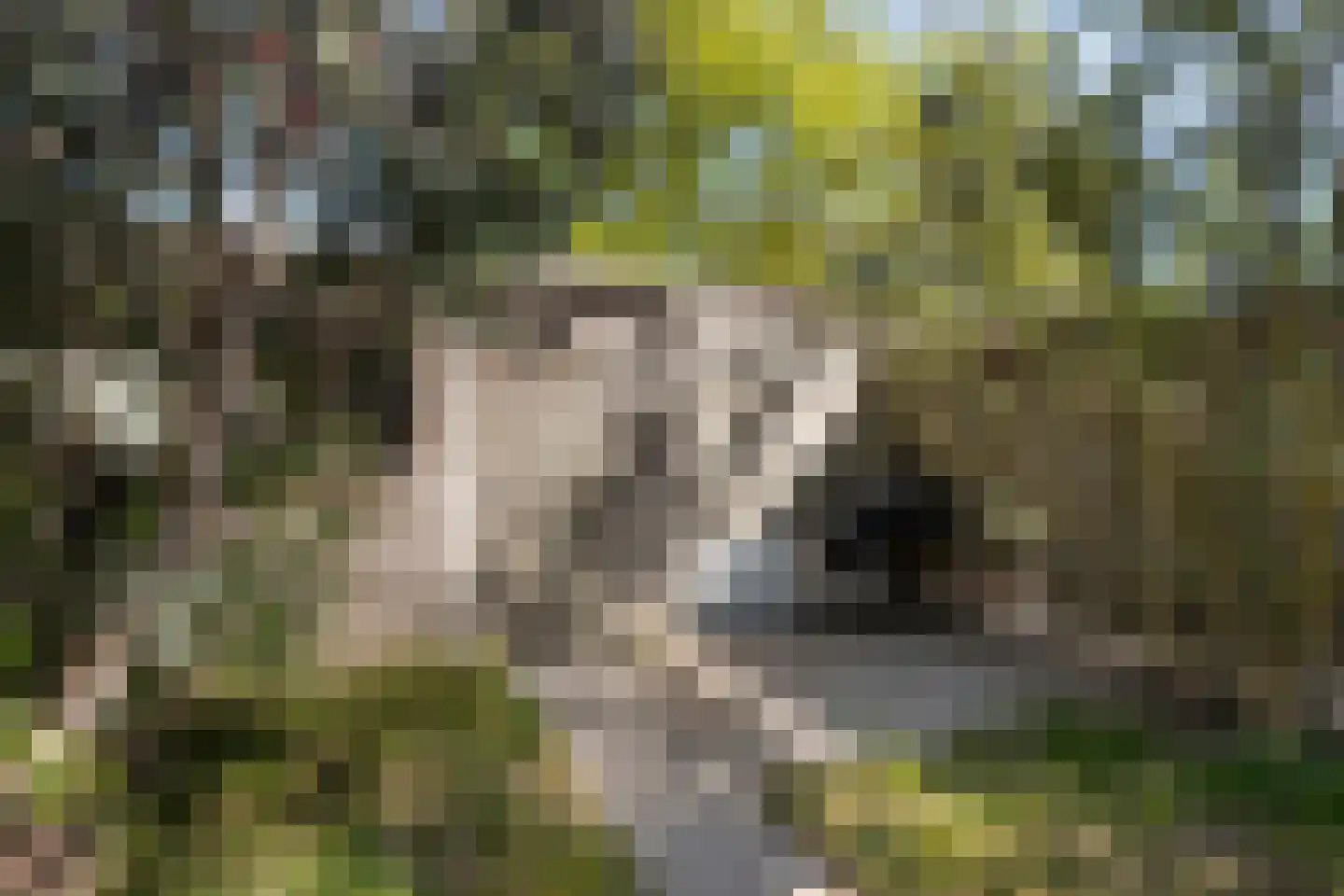 Het Oosterveld 5 B Enschede thumbnail 34