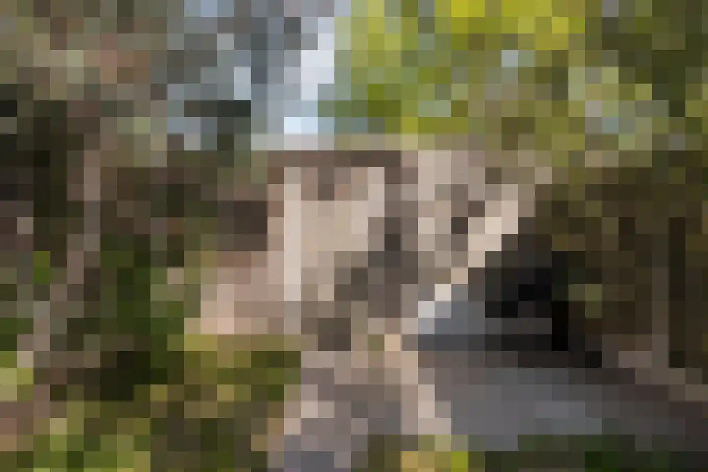 Het Oosterveld 5 B Enschede thumbnail 37