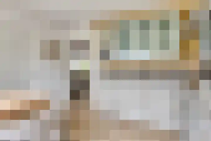 Het Otman 2 Denekamp thumbnail 18