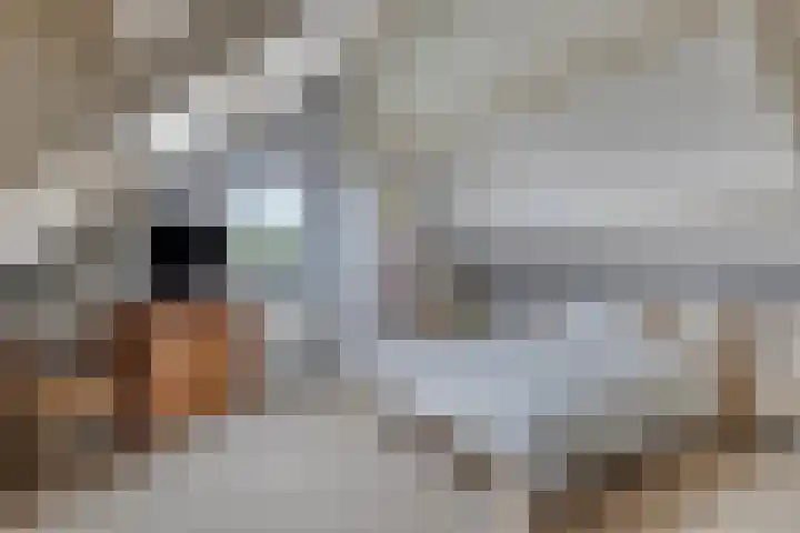 Het Otman 2 Denekamp thumbnail 29