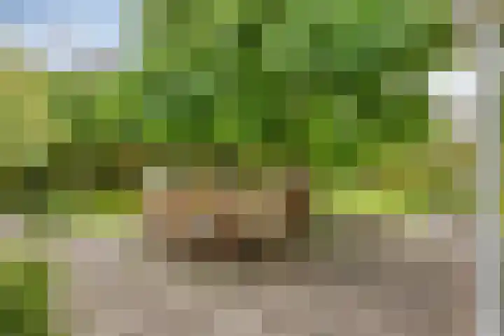 Het Otman 2 Denekamp thumbnail 33