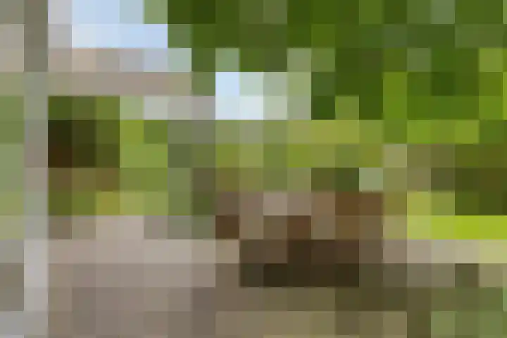 Het Otman 2 Denekamp thumbnail 34