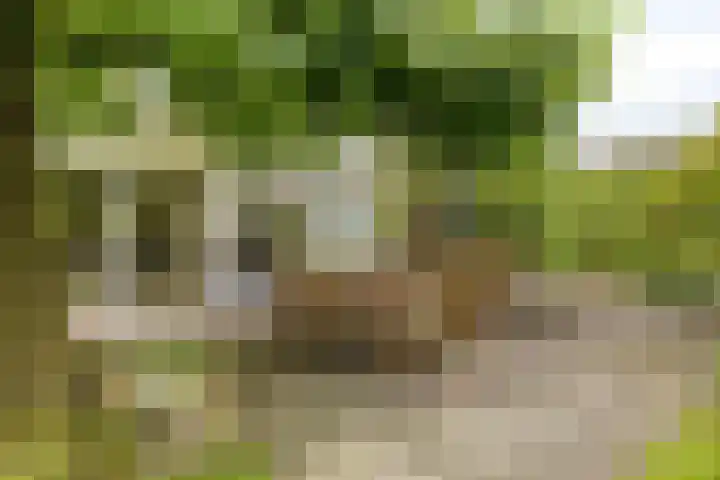 Het Otman 2 Denekamp thumbnail 35