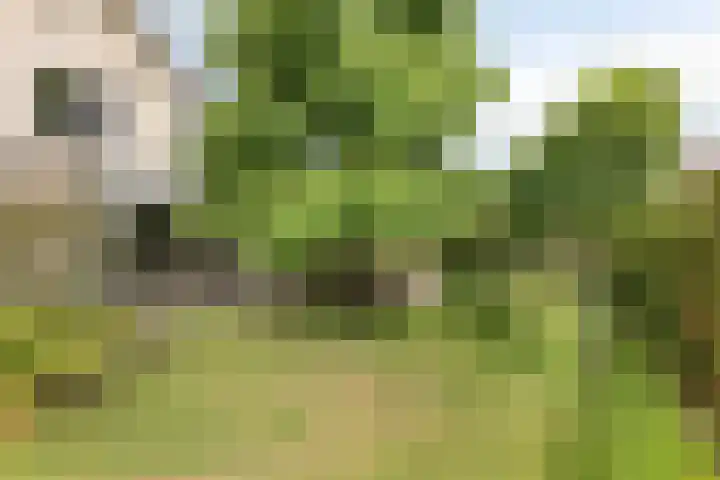 Het Otman 2 Denekamp thumbnail 36