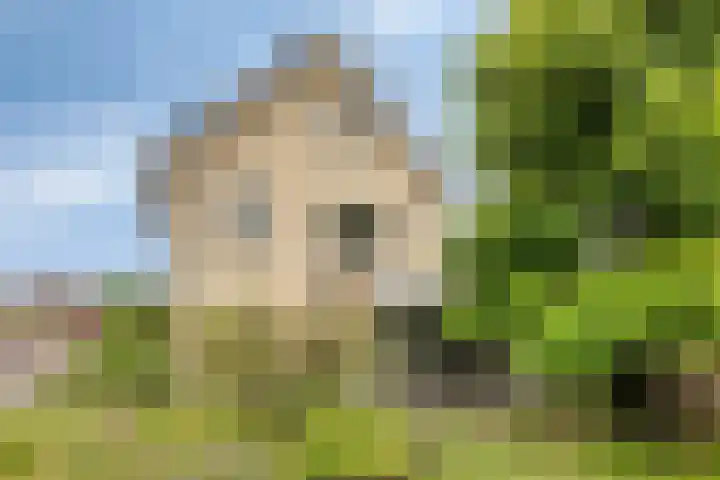 Het Otman 2 Denekamp thumbnail 39