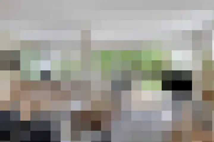 Het Otman 2 Denekamp thumbnail 4
