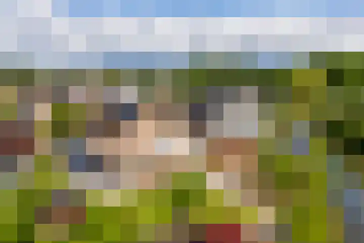 Het Otman 2 Denekamp thumbnail 45