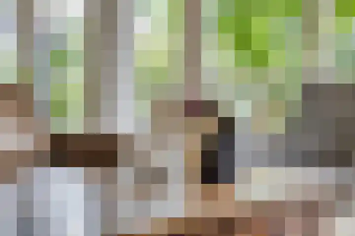 Het Otman 2 Denekamp thumbnail 5