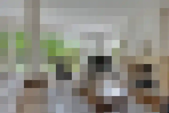 Het Otman 2 Denekamp thumbnail 6