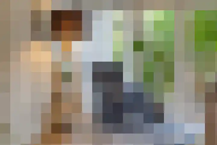 Het Otman 2 Denekamp thumbnail 8