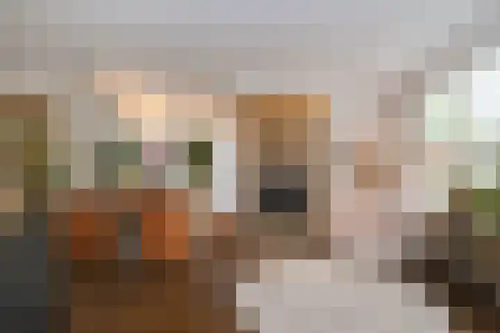 Het Oude Loo 2 Almelo thumbnail 13