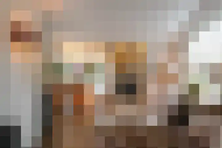 Het Oude Loo 2 Almelo thumbnail 14