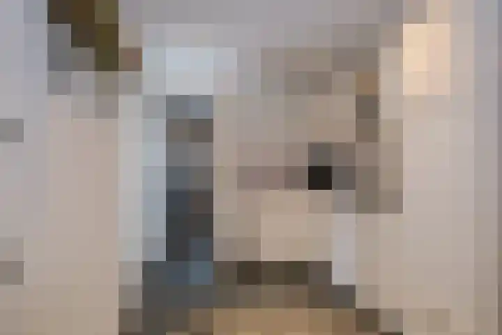 Het Oude Loo 2 Almelo thumbnail 21