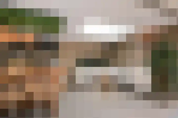 Het Oude Loo 2 Almelo thumbnail 34