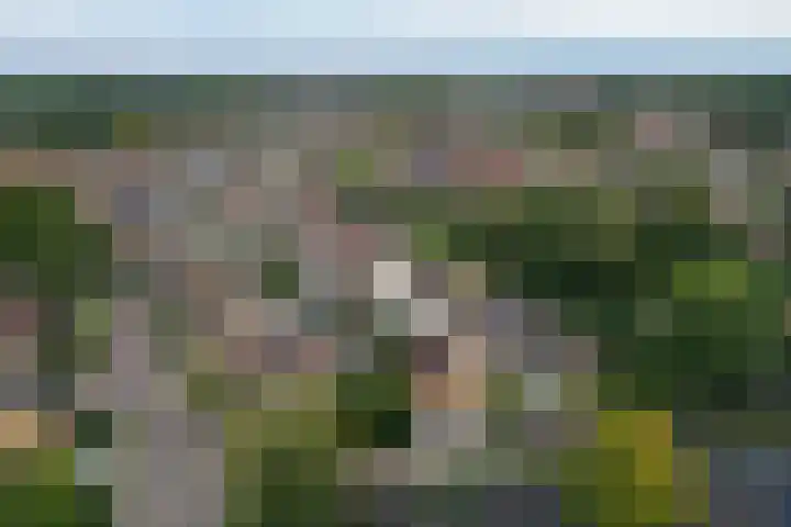 Het Oude Loo 2 Almelo thumbnail 43