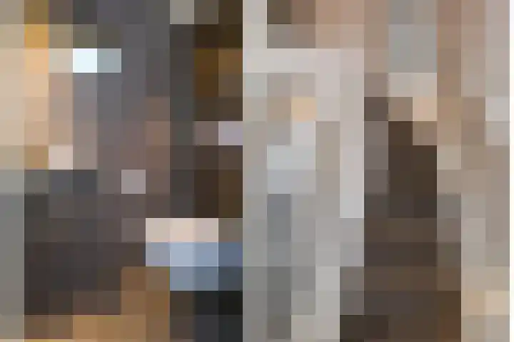 Het Oude Loo 2 Almelo thumbnail 7