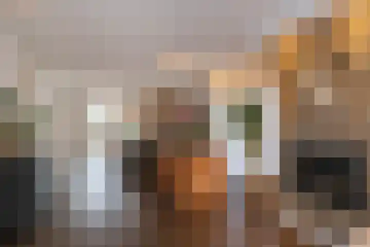 Het Oude Loo 2 Almelo thumbnail 8