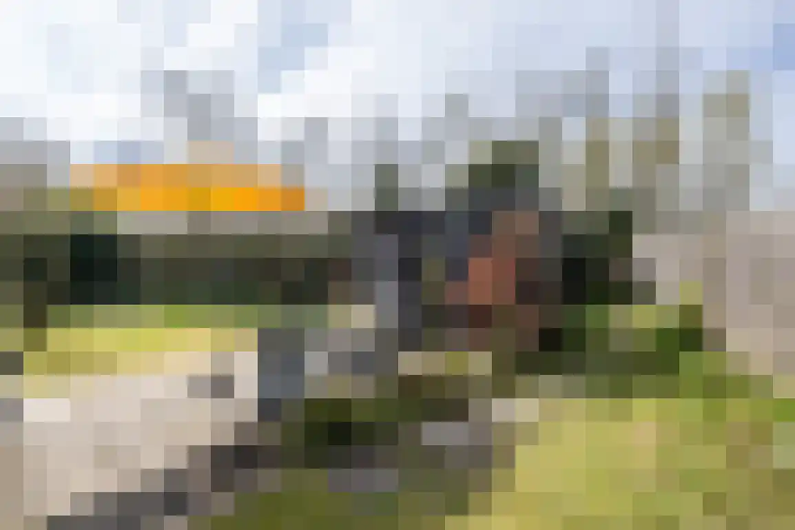 Het Oude Nieuwland 115 Ouddorp thumbnail 20