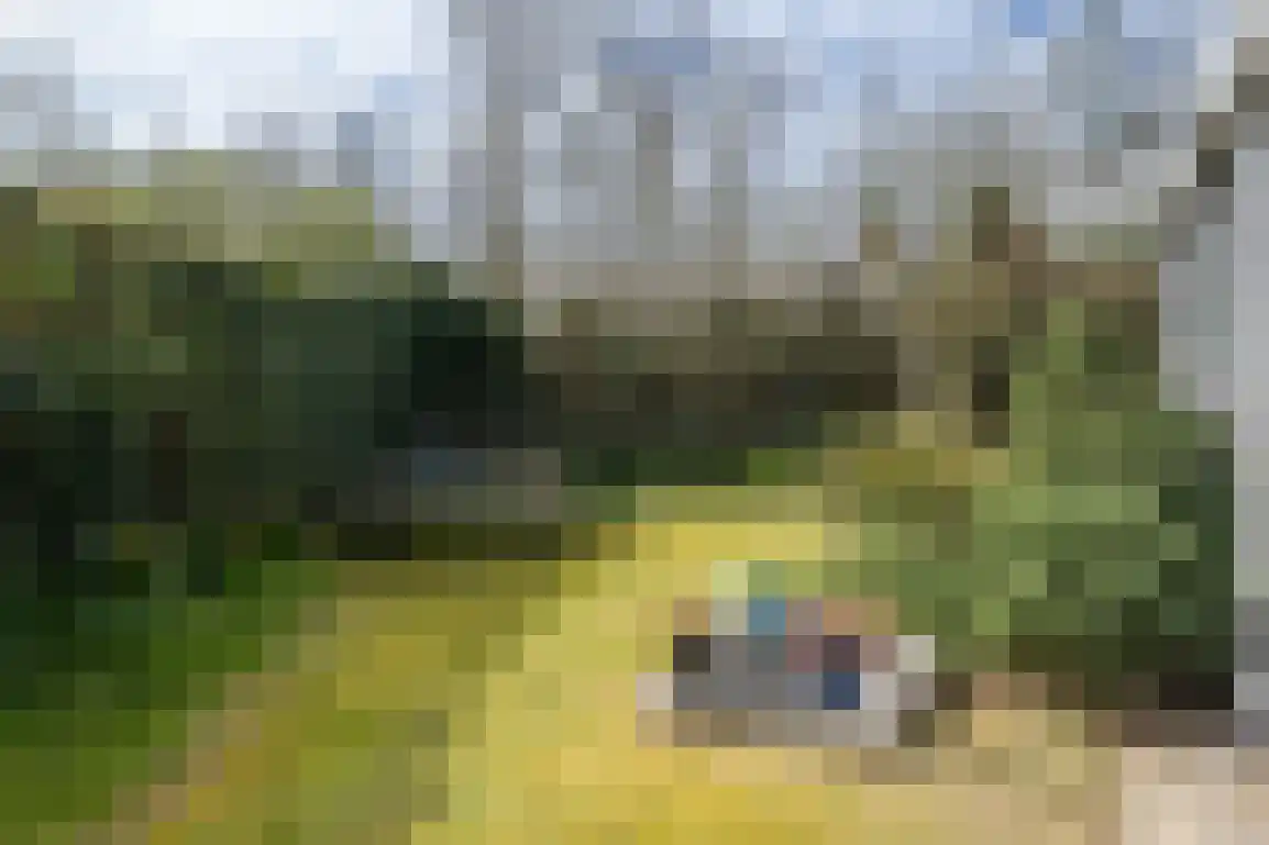Het Oude Nieuwland 115 Ouddorp thumbnail 24