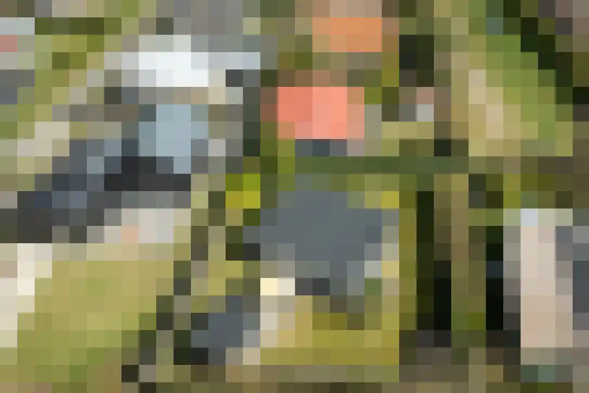 Het Oude Nieuwland 115 Ouddorp thumbnail 28