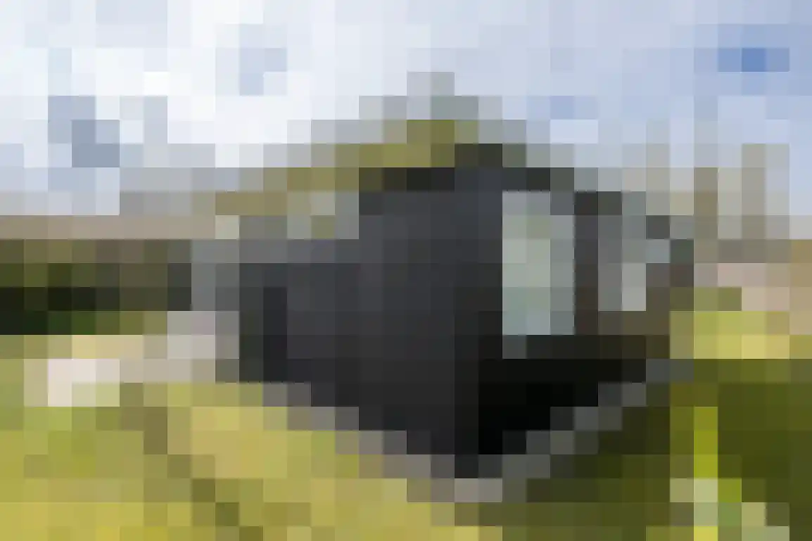 Het Oude Nieuwland 115 Ouddorp thumbnail 4