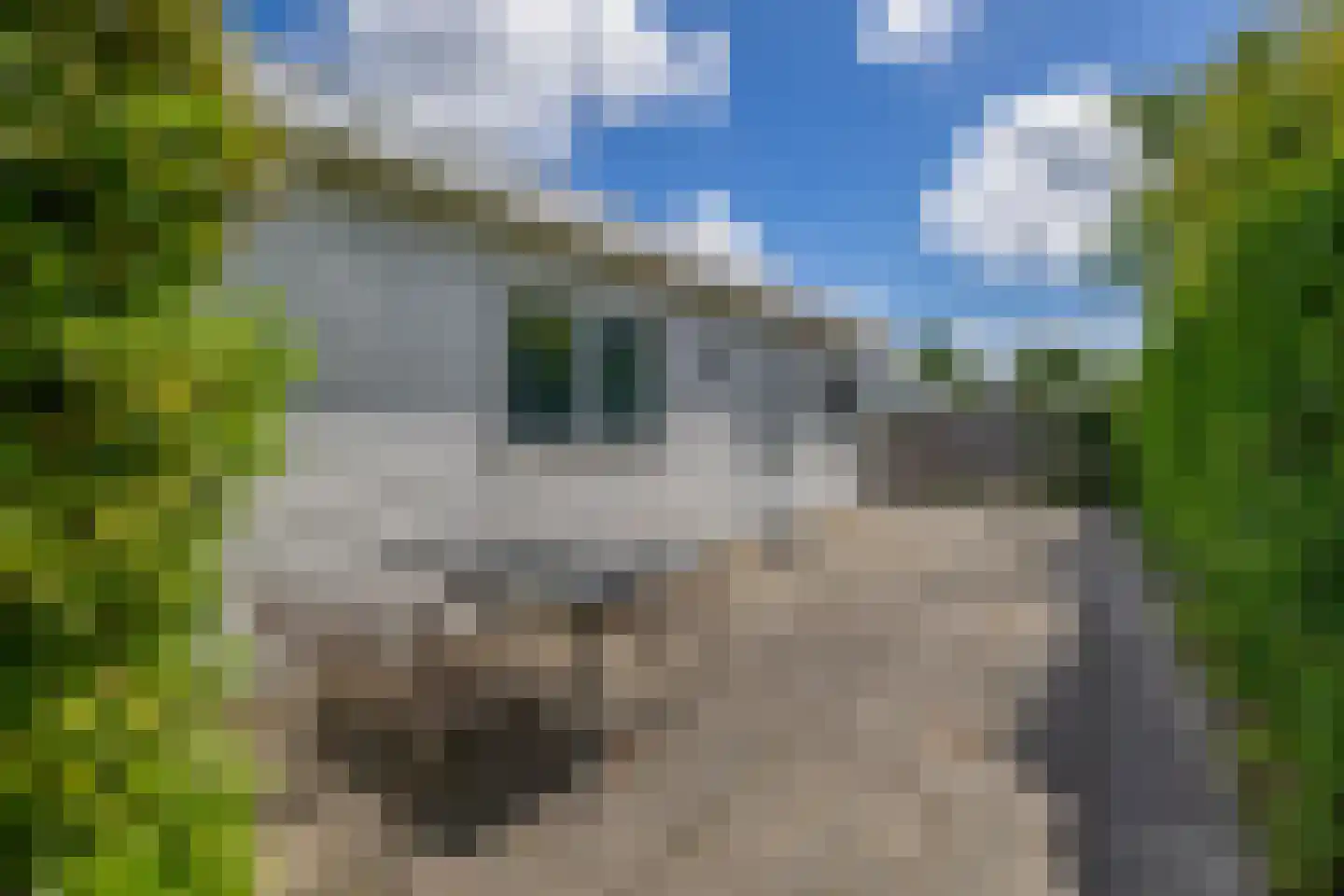 Het Oude Nieuwland 119 Ouddorp thumbnail 21