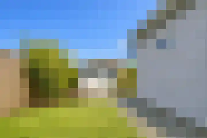 Het Oude Nieuwland 12 Ouddorp thumbnail 10