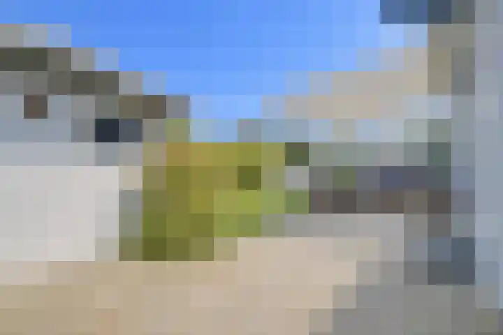 Het Oude Nieuwland 12 Ouddorp thumbnail 12
