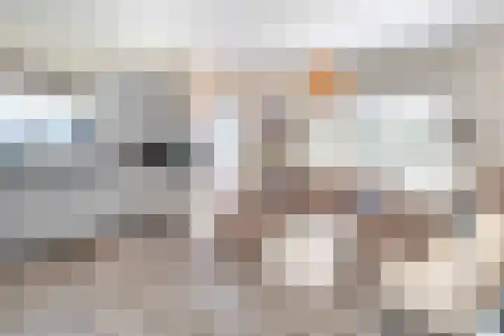 Het Oude Nieuwland 13 Ouddorp thumbnail 10