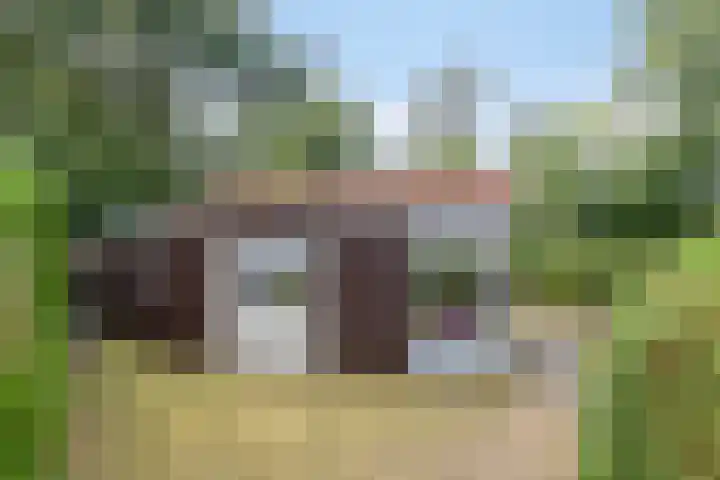 Het Oude Nieuwland 133 Ouddorp thumbnail 15
