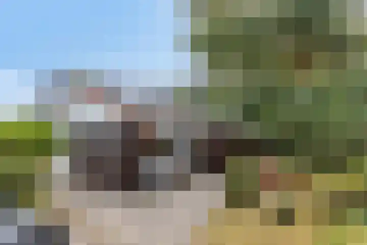 Het Oude Nieuwland 133 Ouddorp thumbnail 16
