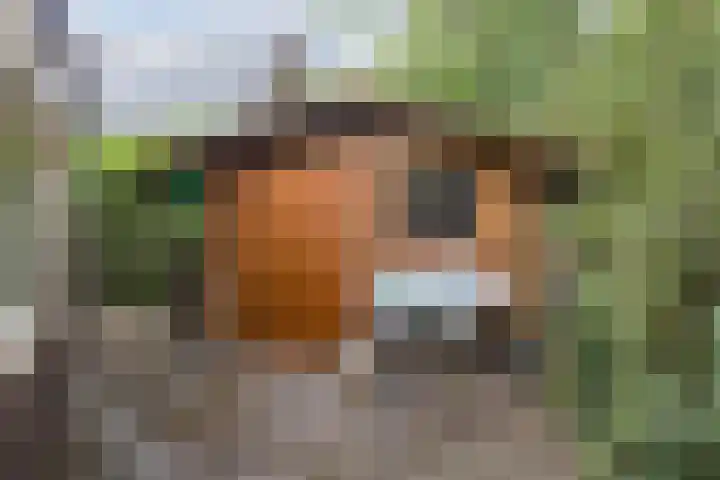 Het Oude Nieuwland 133 Ouddorp thumbnail 17