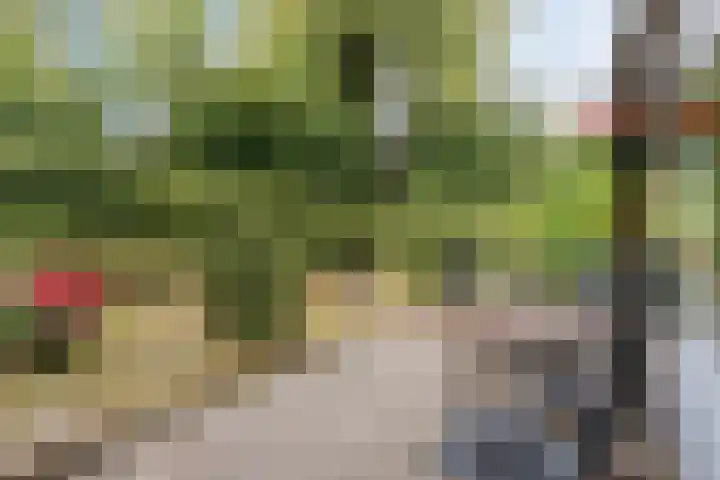 Het Oude Nieuwland 133 Ouddorp thumbnail 4