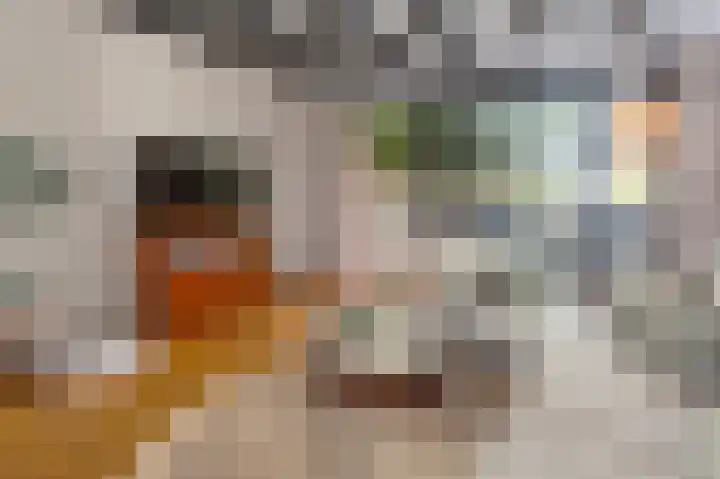 Het Oude Nieuwland 137 Ouddorp thumbnail 11