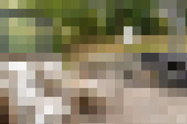 Het Oude Nieuwland 137 Ouddorp thumbnail 12