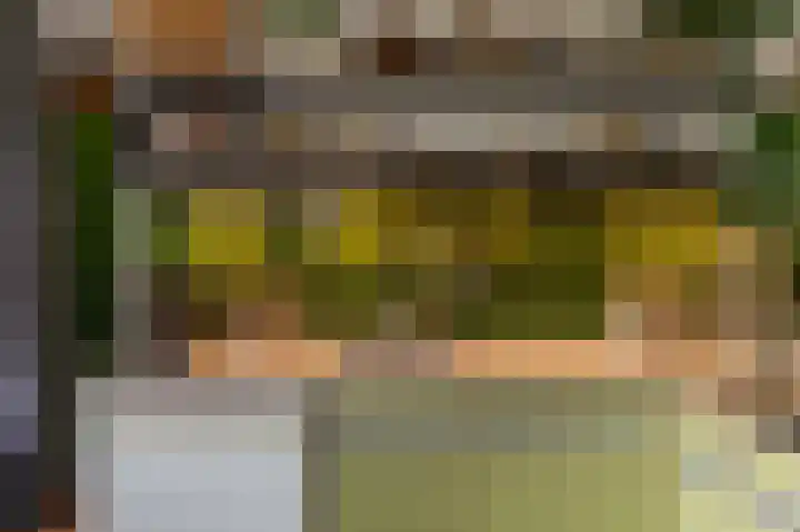 Het Oude Nieuwland 137 Ouddorp thumbnail 18