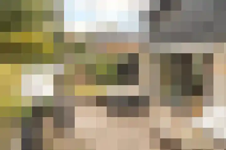 Het Oude Nieuwland 137 Ouddorp thumbnail 32