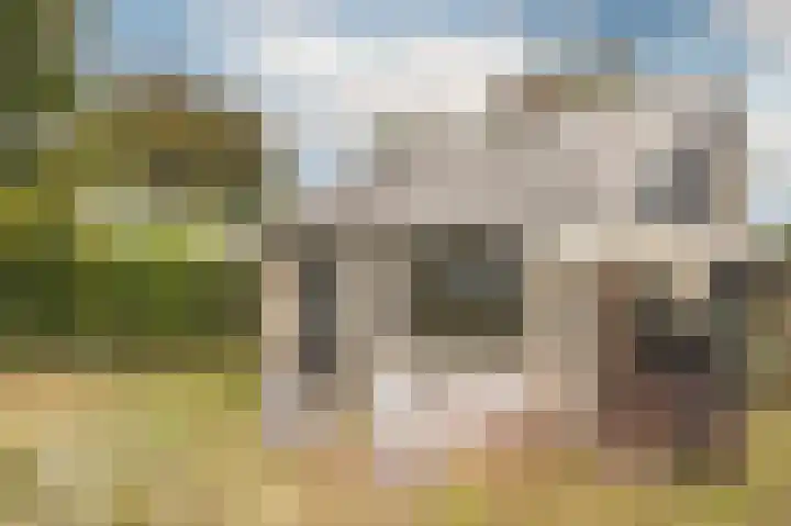 Het Oude Nieuwland 137 Ouddorp thumbnail 34