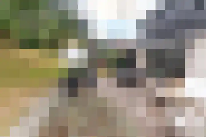 Het Oude Nieuwland 137 Ouddorp thumbnail 36