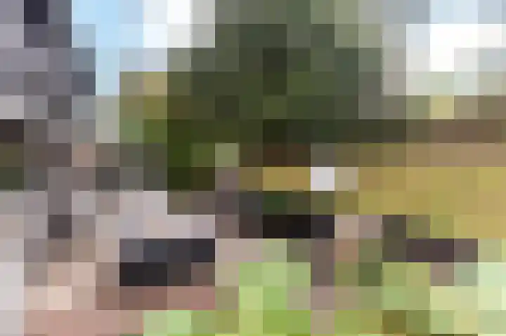 Het Oude Nieuwland 137 Ouddorp thumbnail 4