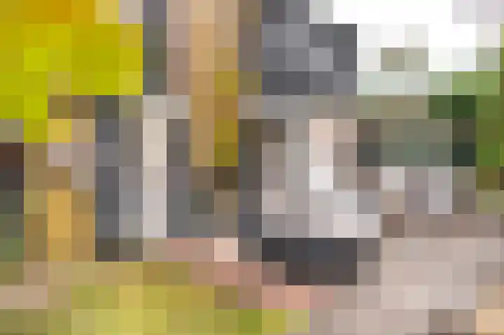 Het Oude Nieuwland 137 Ouddorp thumbnail 5