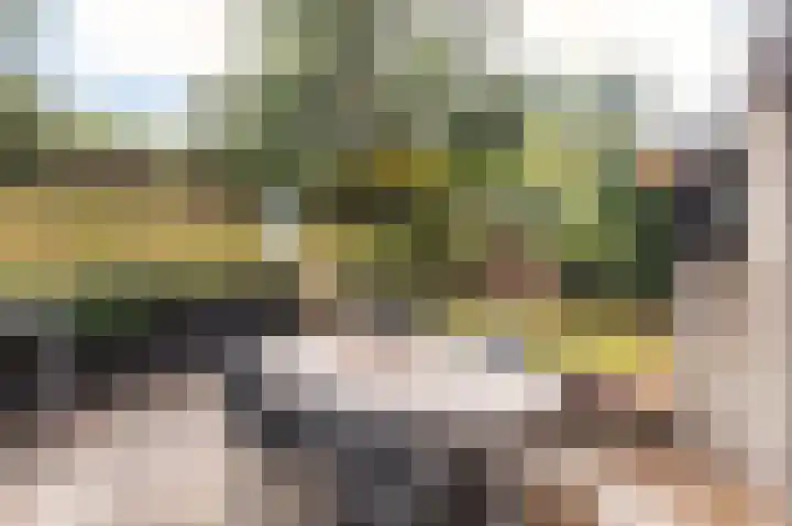 Het Oude Nieuwland 137 Ouddorp thumbnail 6