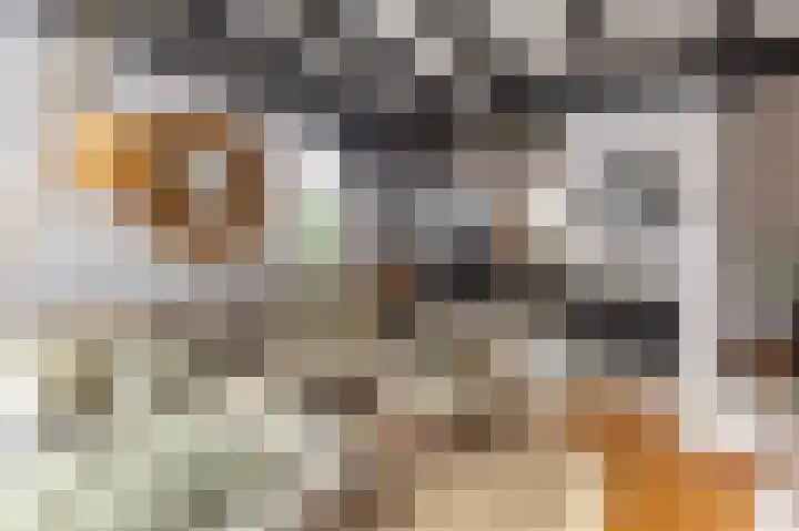 Het Oude Nieuwland 137 Ouddorp thumbnail 9
