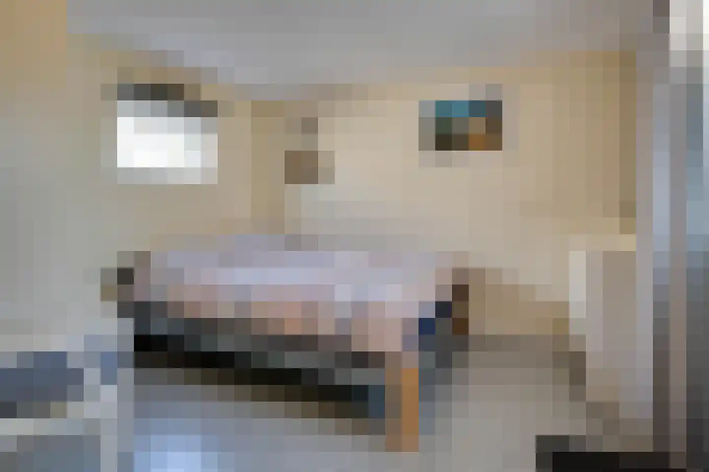 Het Oude Nieuwland 146 Ouddorp thumbnail 11