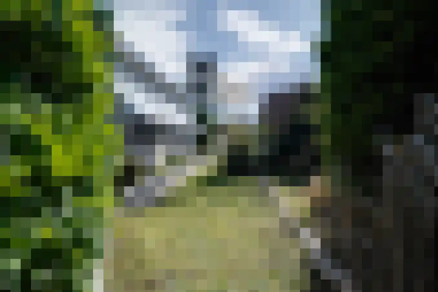 Het Oude Nieuwland 146 Ouddorp thumbnail 15
