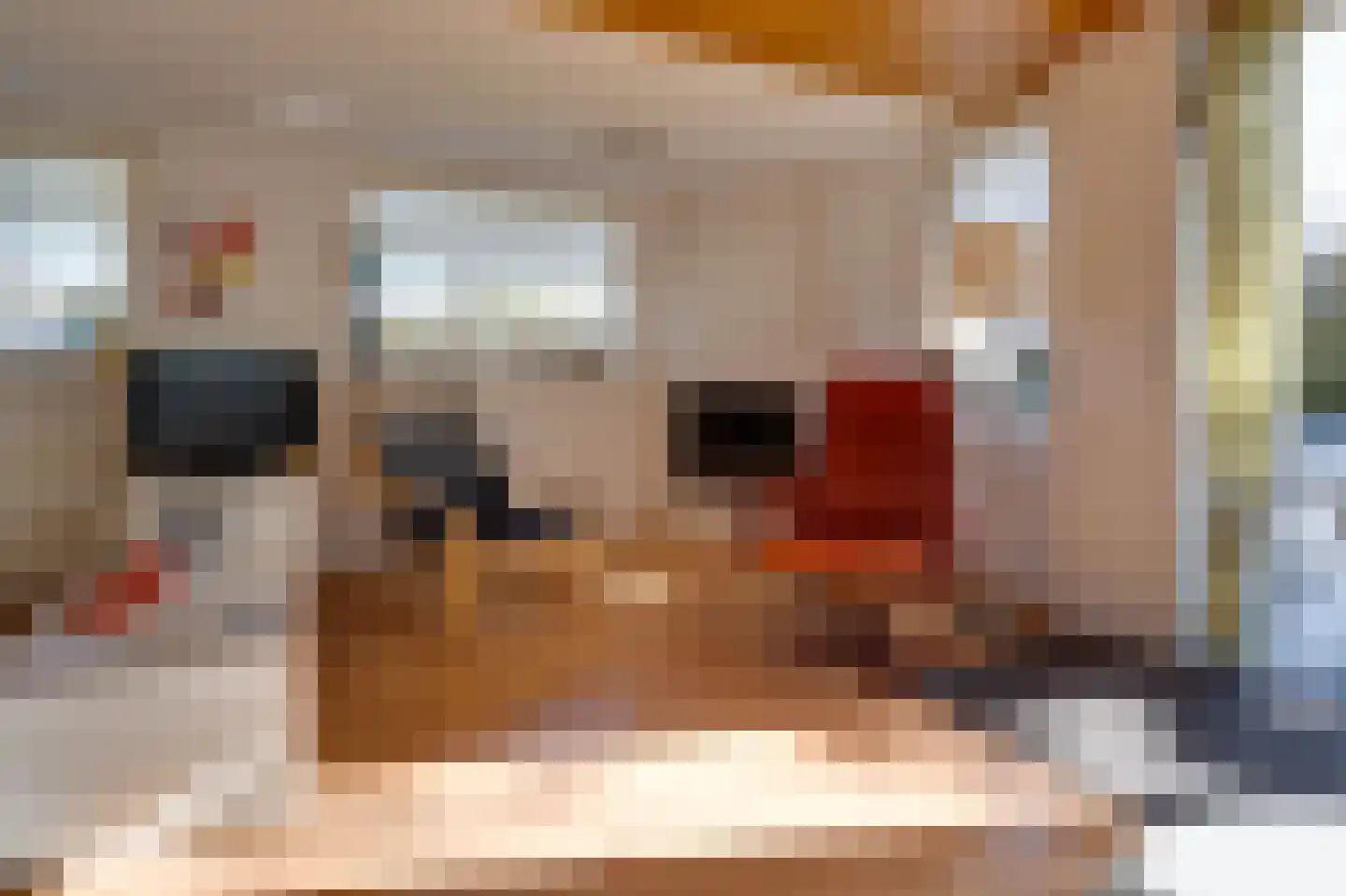 Het Oude Nieuwland 146 Ouddorp thumbnail 6