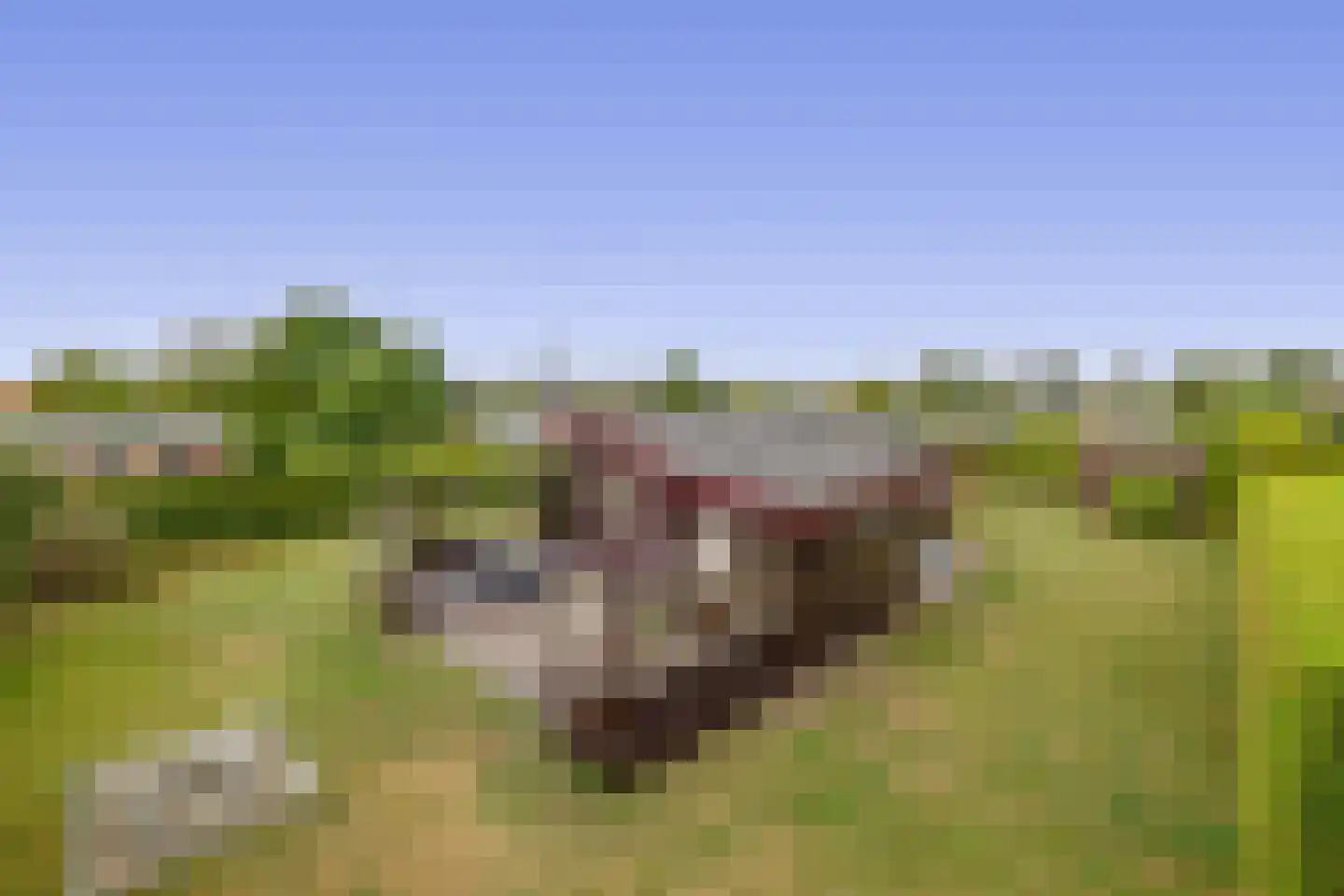 Het Oude Nieuwland 150 Ouddorp thumbnail 18