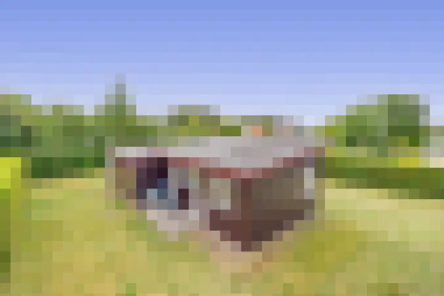 Het Oude Nieuwland 150 Ouddorp thumbnail 23