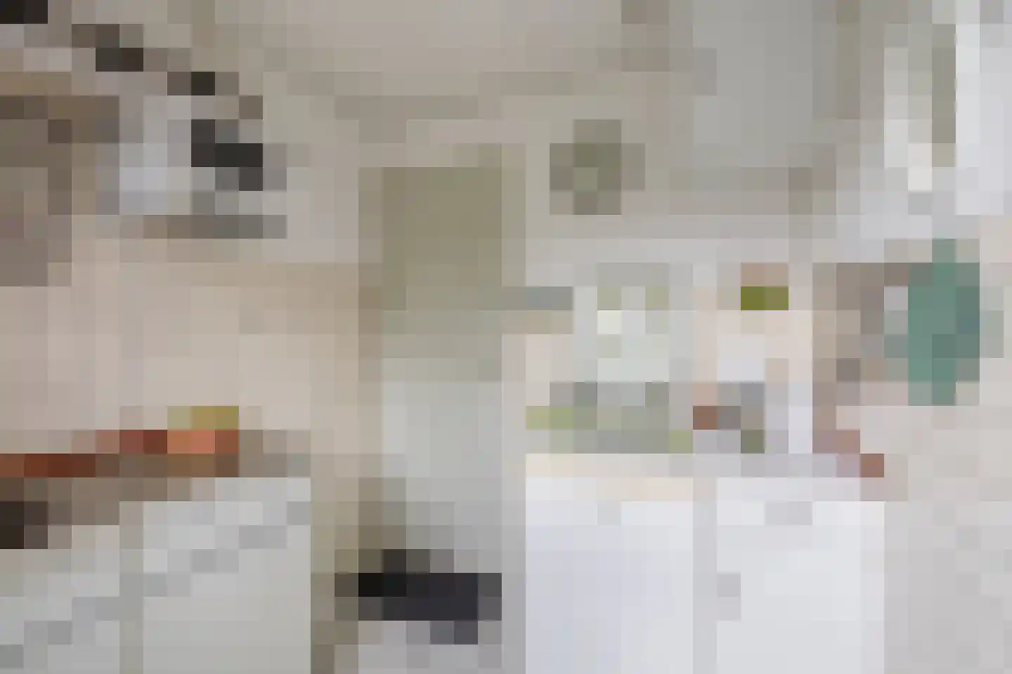 Het Oude Nieuwland 150 Ouddorp thumbnail 26